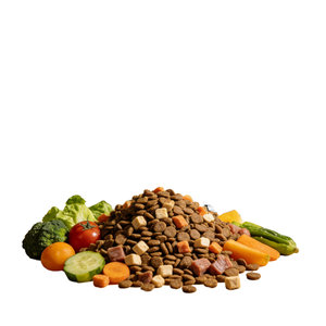 Active Pets Bulk Packaging Adult Dog Food Factory Direct