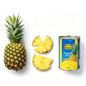 Canned Pineapple Chunks In Light Syrup