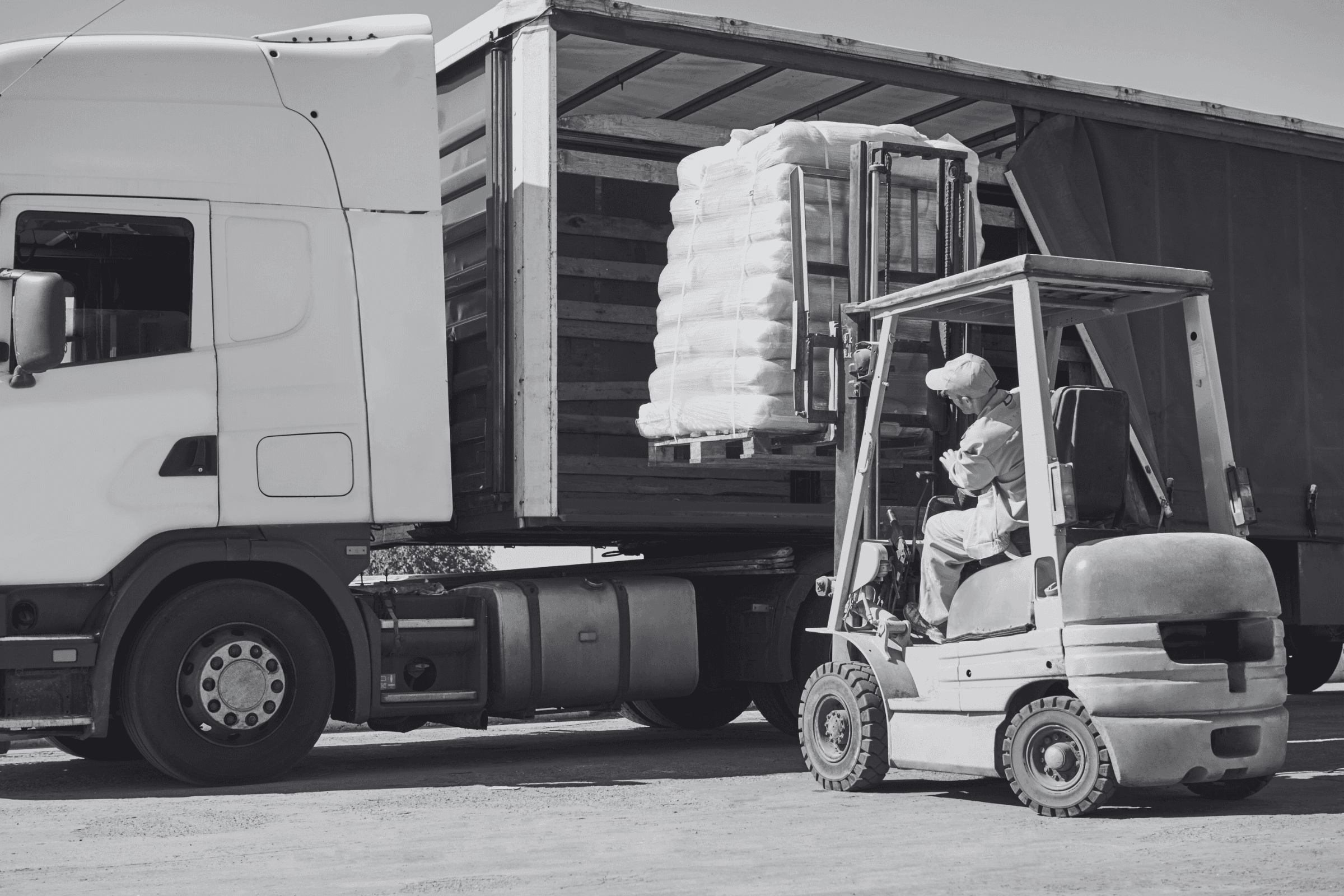 Pet supplement distribution and global container shipping