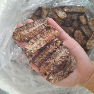 Vietnamese Dried Noni Nature Immune Boosting Superfood