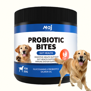 Natural Pet Food Supplement Dog Treats Snacks Suppliers 120 Soft Chews Probiotic Digestive Treats for Dogs and Cats