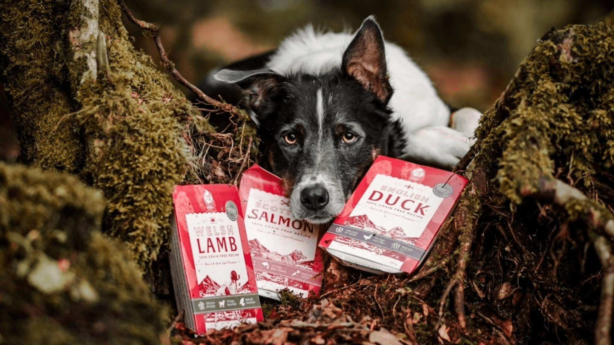 Clydach Farm super-premium British pet food