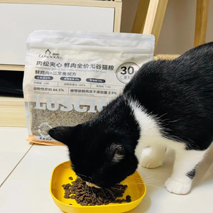 OEM Wholesale Factory Cat Dry Food Grain Free Chicken Fish